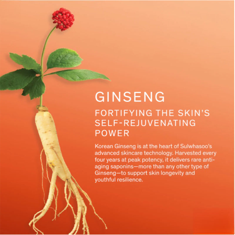 Sulwhasoo Concentrated Ginseng Renewing 6-Piece Skincare Set - Ginseng Water 150ml + Emulsion 125ml + Mini Water 25ml + Mini Emulsion 25ml + Serum 8ml + Cream 5ml
