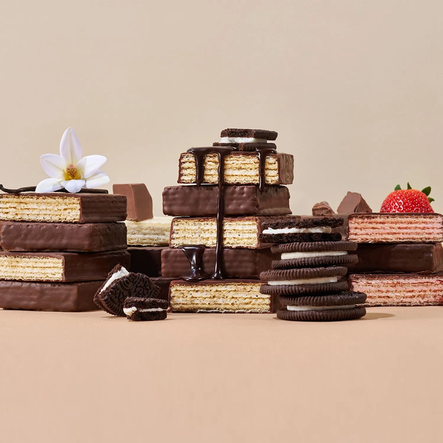 Labnosh Low-Sugar Wafers #Choco Cookie 53g
