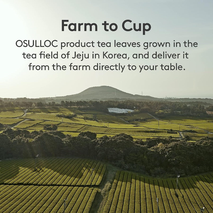 Osulloc Premium Green Tea Waffle 72g