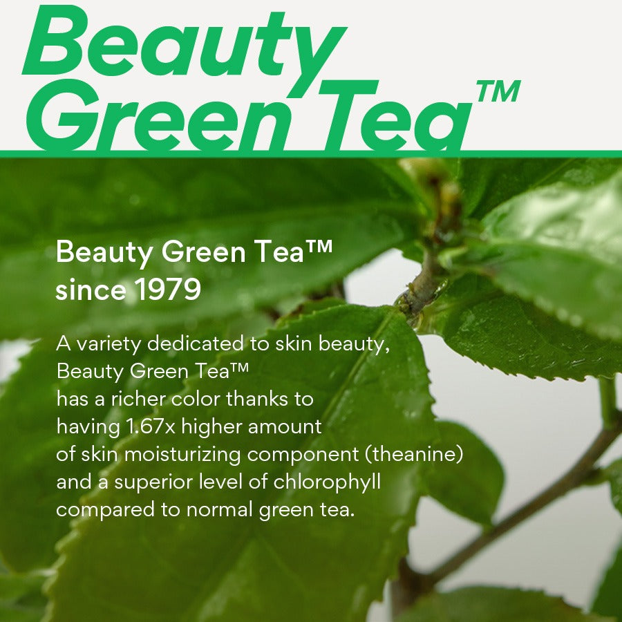 INNISFREE Green Tea Seed Hyaluronic Cream 50ml