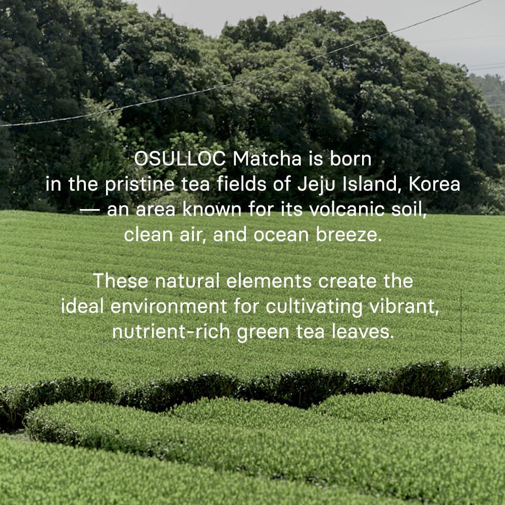 OSULLOC 济州火山抹茶拿铁粉 300克 韩国进口速溶抹茶奶茶粉家庭大包装24.98