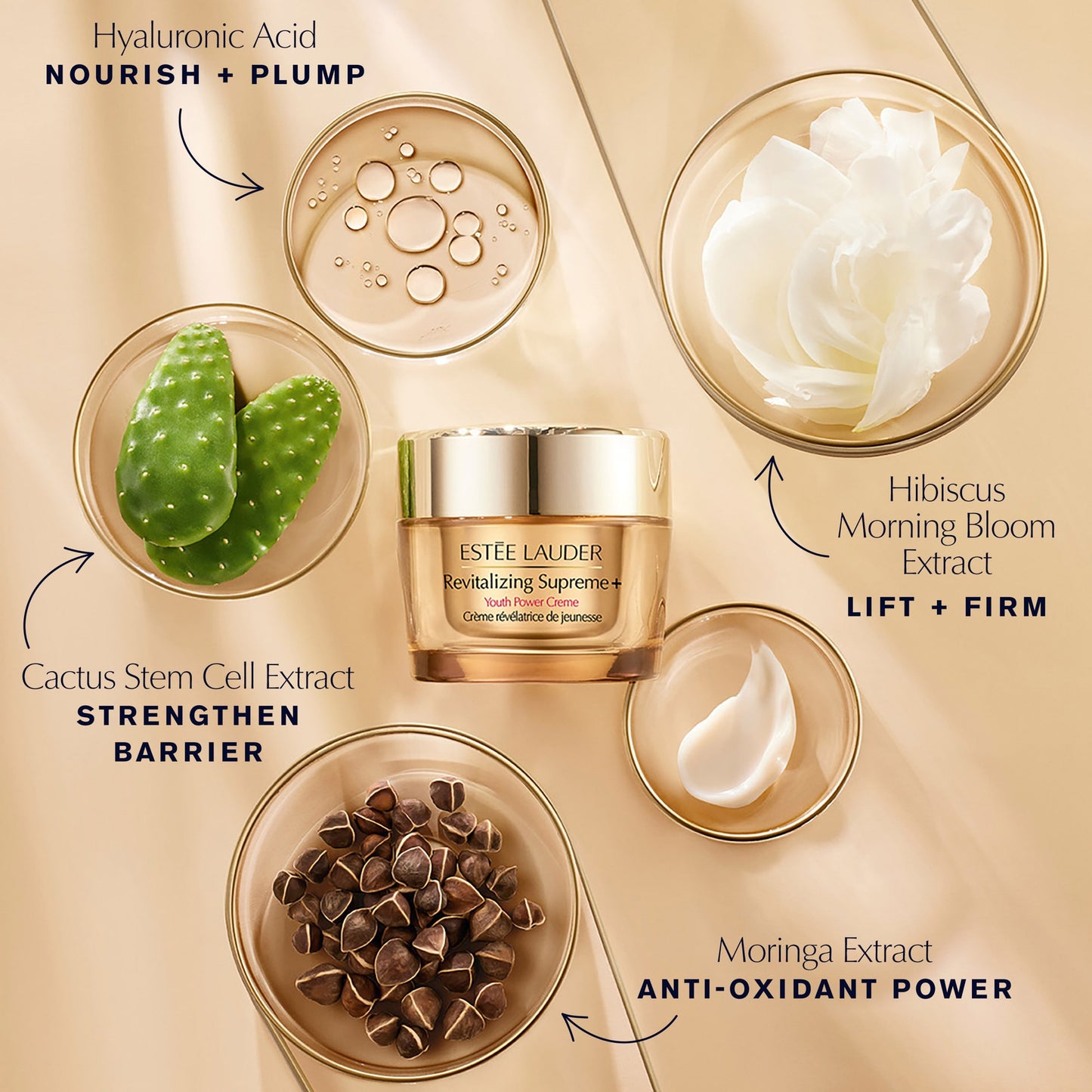 Estee Lauder Revitalizing Supreme+ Moisturizer Youth Power Creme 75ml