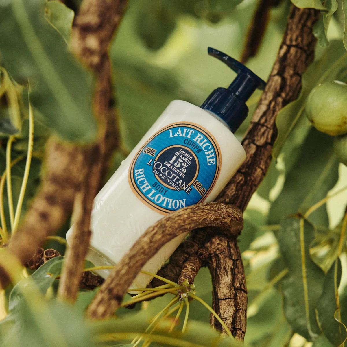 L'Occitane - Shea Butter Rich Body Lotion 250ml