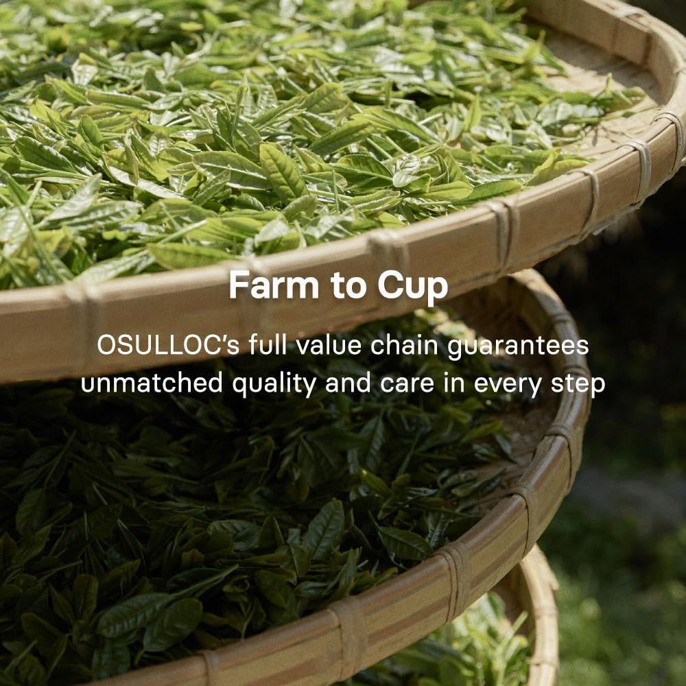 OSULLOC 济州火山抹茶拿铁粉 300克 韩国进口速溶抹茶奶茶粉家庭大包装24.98