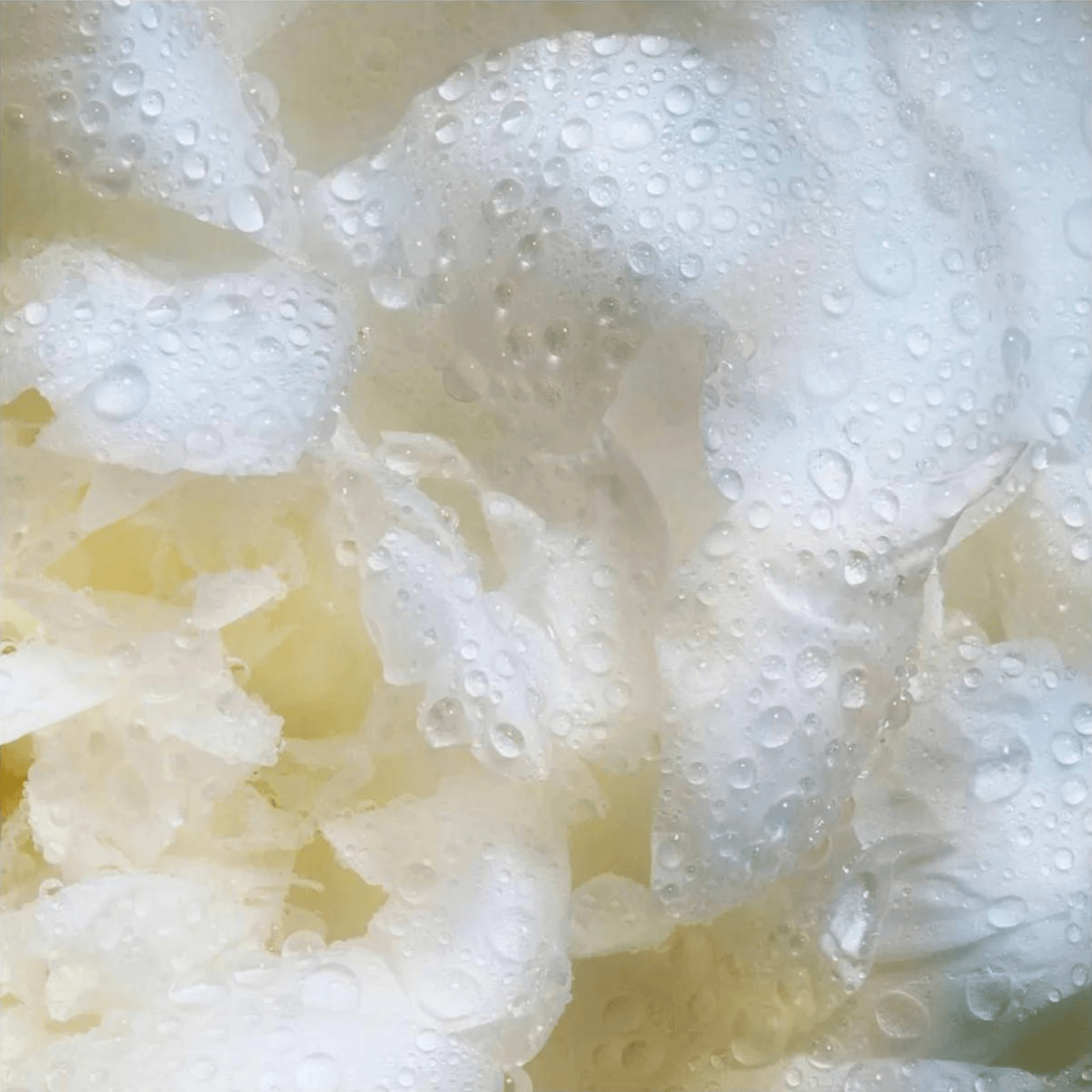 Helena Rubinstein PRODIGY CELLGLOW The Rich Dewy Essence 200ml