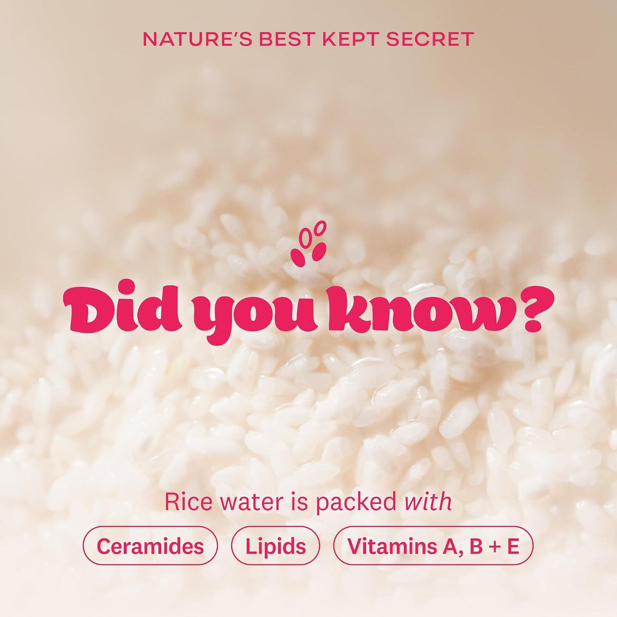 THE FACE SHOP Rice Water Bright Foaming Cleanser 160ml, Rice Extract Hydrating Facial Wash