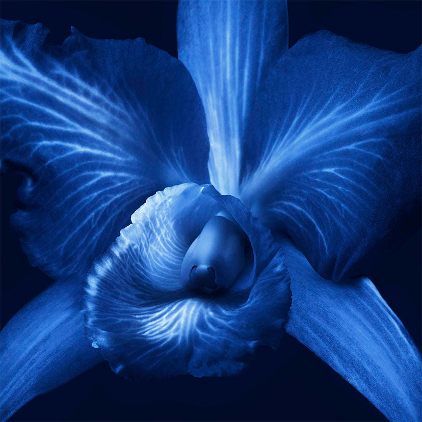 GUERLAIN ORCHIDÉE IMPÉRIALE THE ESSENCE-IN-LOTION 125ml