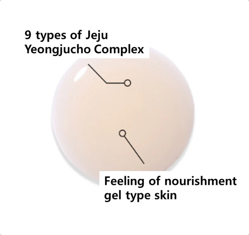 INNISFREE Perfect 9 Intensive Skin 200mL