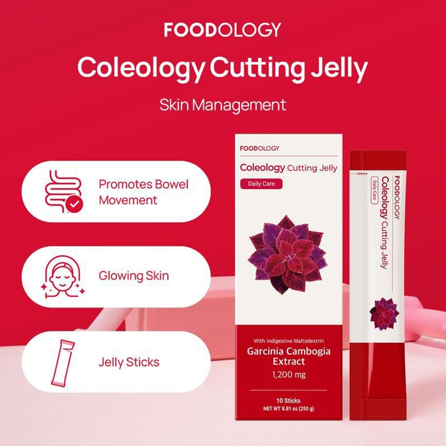 FOODOLOGY Coleology Cutting Jelly 250g(25g X 10 Sticks)*3boxes