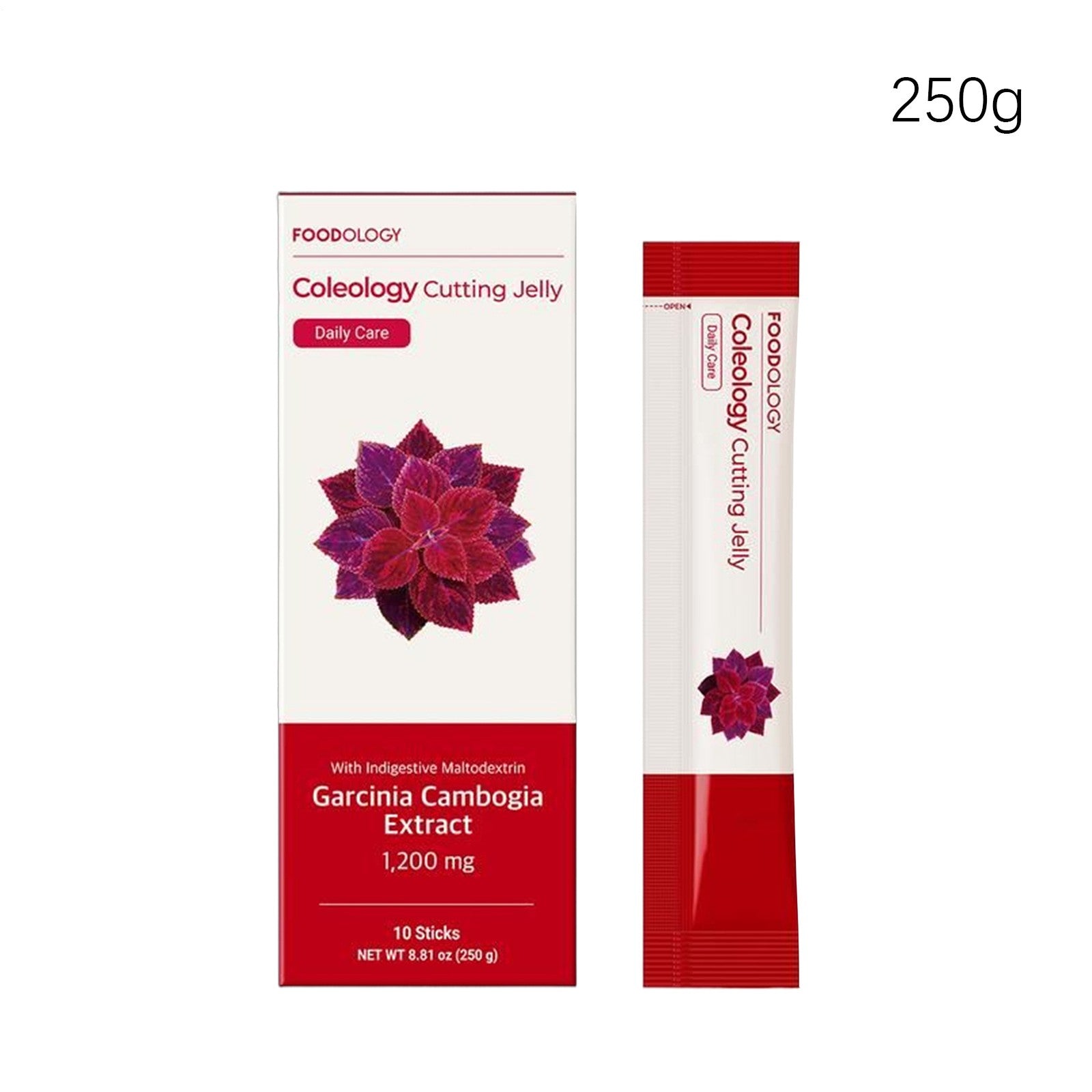 FOODOLOGY Coleology Cutting Jelly 250g(25g X 10 Sticks)*3boxes